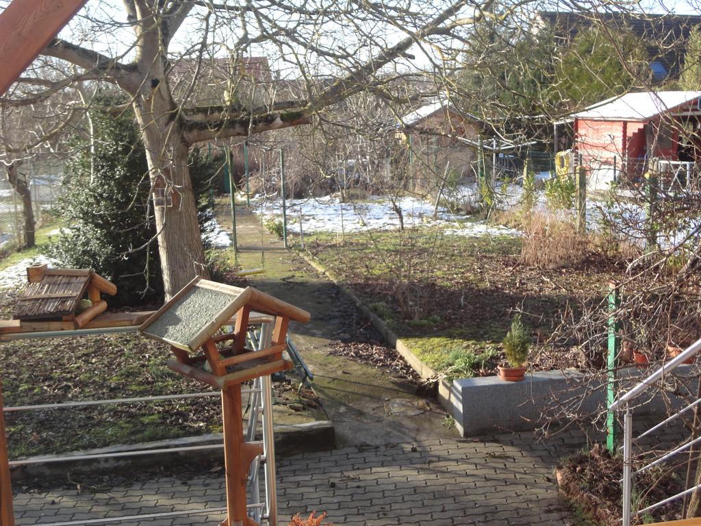 Bed and Breakfast Chez Jpzen Nowicki Freyming-Merlebach Экстерьер фото